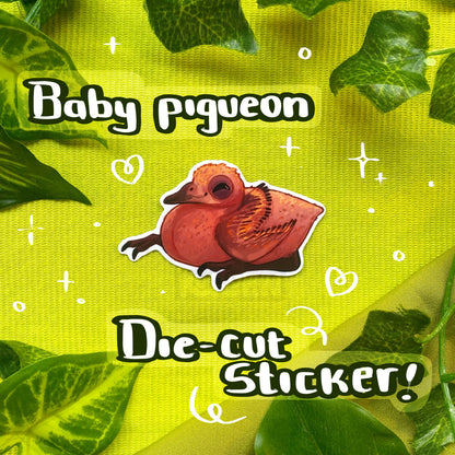 Baby Pigueon | Die Cut Vinyl Sticker