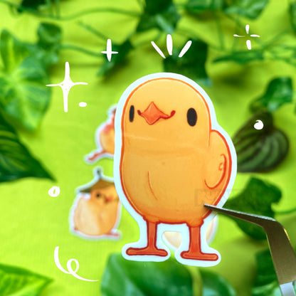 Little Chicks | Sticker Pack Bundle | Chicken Farm Collection