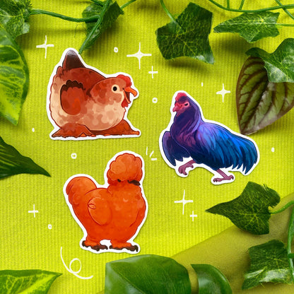 Fluffy Chicken | Die-cut Vinyl Sticker | Chicken Farm Collection