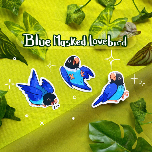Blue Masked Lovebird| Sticker Pack | Species Collection