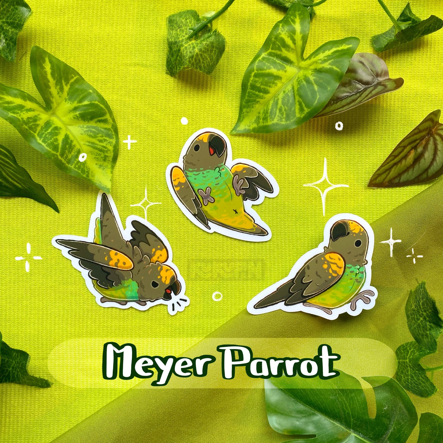 Meyer Parrot | Sticker Pack | Species Collection