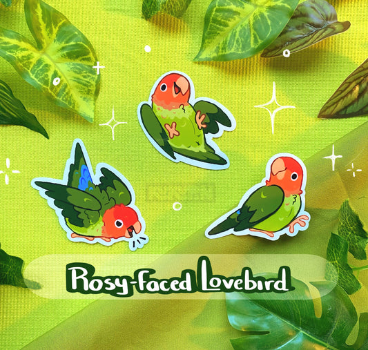 Rosy-Faced Lovebird | Sticker Pack | Species Collection