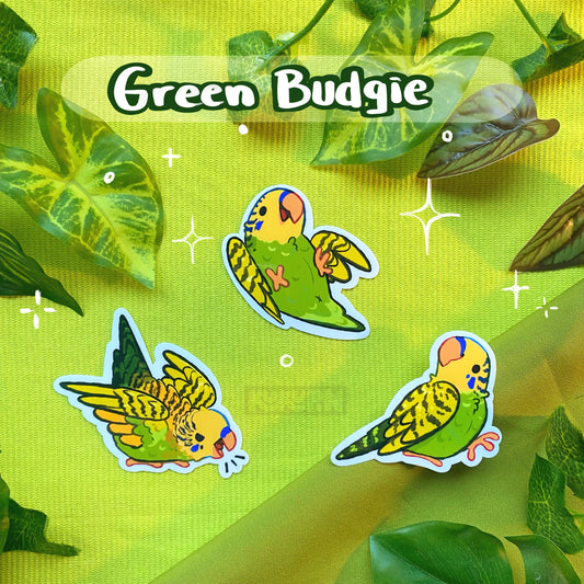 Green Budgie | Sticker Pack | Species Collection